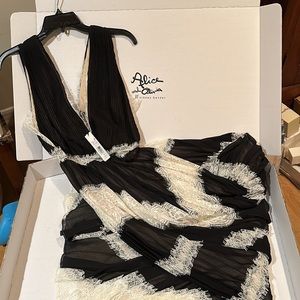 Alice and Olivia by Stacey Bendet long dress